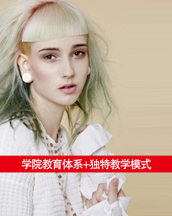 国际美发师全能班